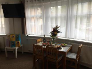 Apartmán Rokytka, útulné ubytování blízko sjezdovky - 7