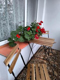 Ludza stay Apartment - 4