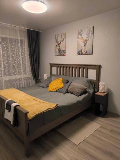 Ludza stay Apartment - 9