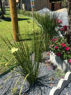 Sitio Encantos do Vale - 8