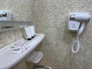 Continental Pyramids Terrace Hotel - 7