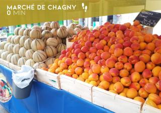 Saga - Cinema Room - BY PRIMO C0NCIEREGERIE - 7