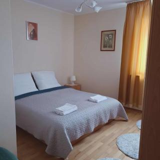 Apartament Bluehouse - 9