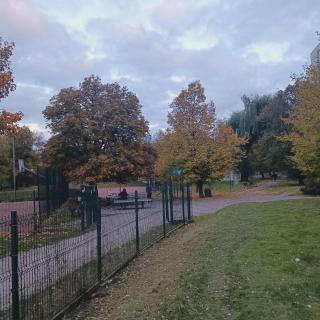 Apartament Bluehouse - 8