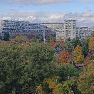 Apartament Bluehouse - 7