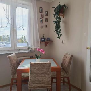 Apartament Bluehouse - 6