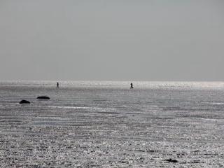 Ferienwohnungen Deichtraum - 4