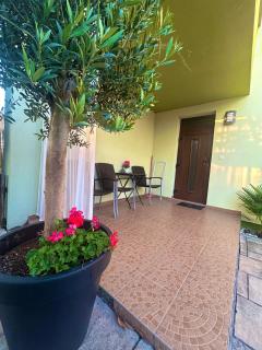 Apartmány ZELENÝ DOM - 3