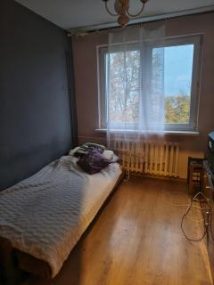 Pleasant apartament im center low price - 6