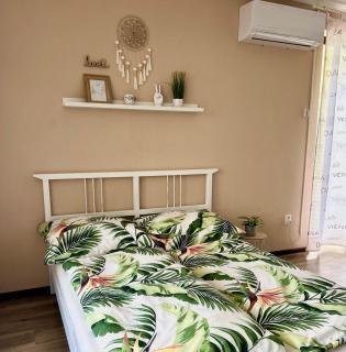 Apartmány ZELENÝ DOM - 1