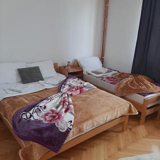 Motel Brdjak Ićo - 8