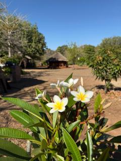 Mpala Guest & Adventure Farm - 2