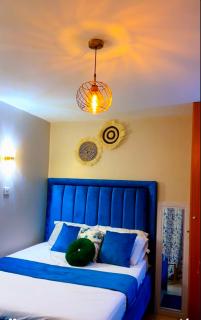 Fitbull Homes Rm 210 - 8