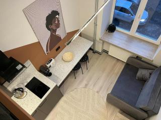 Vytenio Loft - Serenity and Style in City Centre - Vilnius - 7