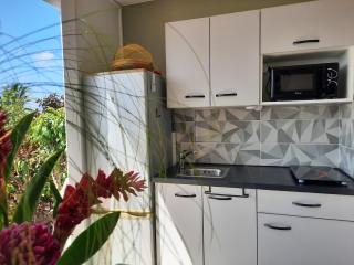 Turquoise studio remarquable vue mer - 2