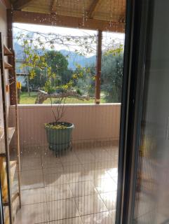 Detached house in Patras - 3