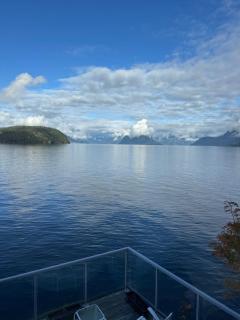 Dream House -Water Lily - 8