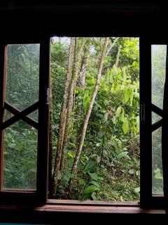 Recantinho da floresta - 4