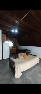 Colibríes Dorados - 6