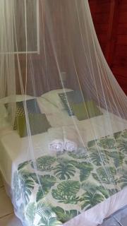 Bungalow nature zen - 5