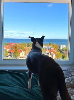 Pokoje przy plaży z widokiem na morze - Sopot - 6