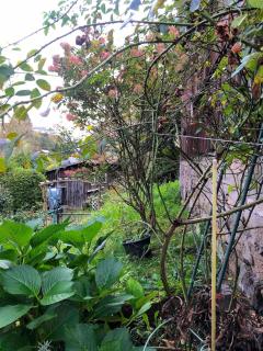 Kleines gemütliches Fachwerkhaus für vier Gäste - 7