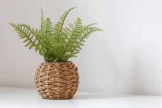 Warrington Stylish Home on Bluebell Road - 4