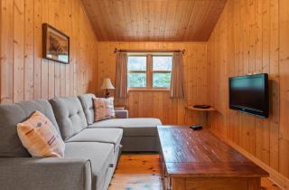 Fiddler Lake Resort Bear 22 - 9