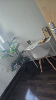 3-Raum-Wohnung beim Luther - 1