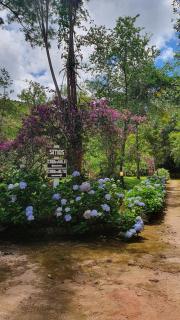 Sitio Lago do Cisne - 6