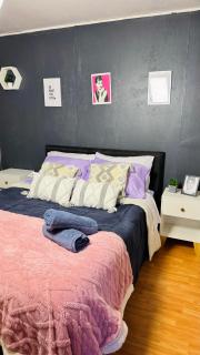 Minidepto temuco - 8