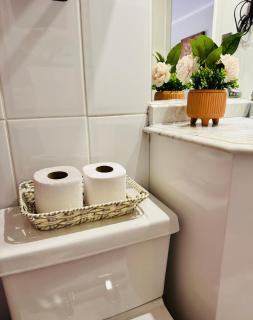 Apartamento Amoblado , en el corazón de Providencia, incluye estacionamiento - 2