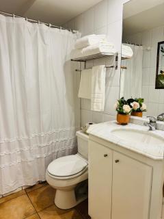 Apartamento Amoblado , en el corazón de Providencia, incluye estacionamiento - 4