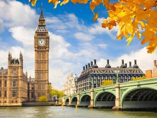 Unwind in Style The Ultimate Studio Getaway - 9