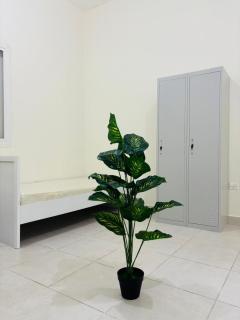 Al Ameen Bunk Beds - 5