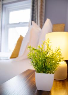 Stylish central location 3 bedroom house - 9