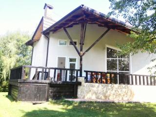 Vila Carpathia - Bran - 8