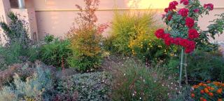 Dovolenkový dom na juhu Slovenska - 8