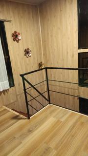 El Encanto, las Dalias - 5