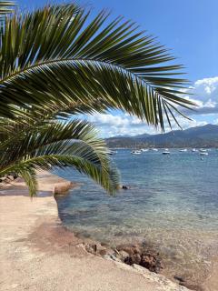 T3 - 100m du port - 1