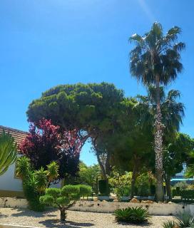 Lago Jardin , CHILL CASA - 0