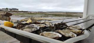 Appart cosy Carnac - T2 avec jardin, plage à 200m & Séjours à thèmes en option, Thalasso à 5mn - 8