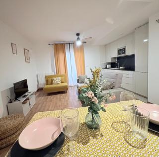 Mi trocito de Sabiñanigo, wifi y garaje - 3