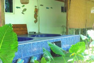 Mango Tree Island 420 - 7