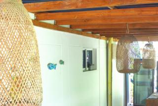 Mango Tree Island 420 - 5