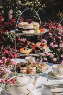 GARDEN HOUSE VILLA - Tasman, Nelson - 1