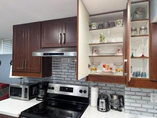 Stunning-Luxury-Cozy Private Suite In Ajax - 3