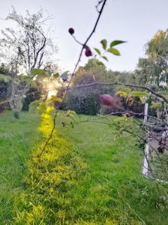 Felicità - Longère with swimming pool and large garden - Poulaines - 7