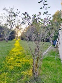 Felicità - Longère with swimming pool and large garden - Poulaines - 5