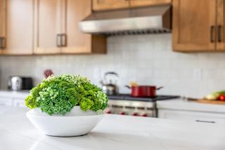 2 Bedroom Home Near NAU and Pine Canyon - 8